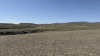 IMG 0449