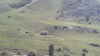 IMG 0466
