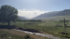 IMG 0485