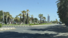 IMG 0768