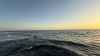 IMG 0803