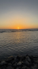 IMG 0811