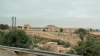 IMG 1942