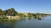 IMG 4584